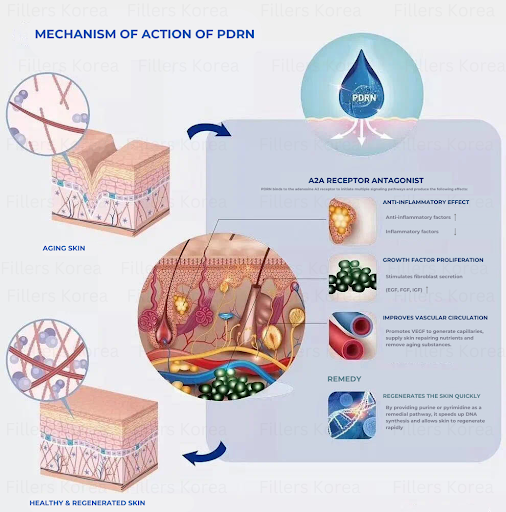 RECELL SKIN BOOSTER - FAROHA